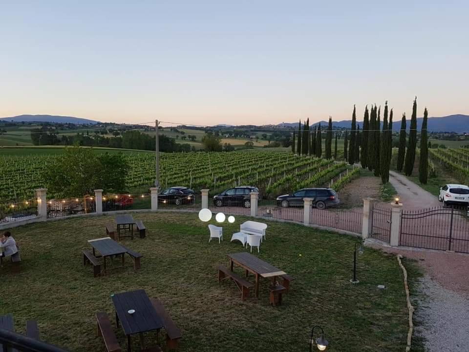 Bed & Breakfast Casale Rialto *