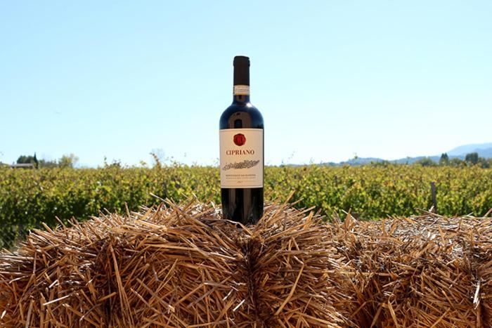 Casale Rialto Bed & Breakfast Montefalco