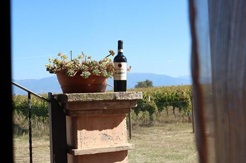 Bed & Breakfast Casale Rialto